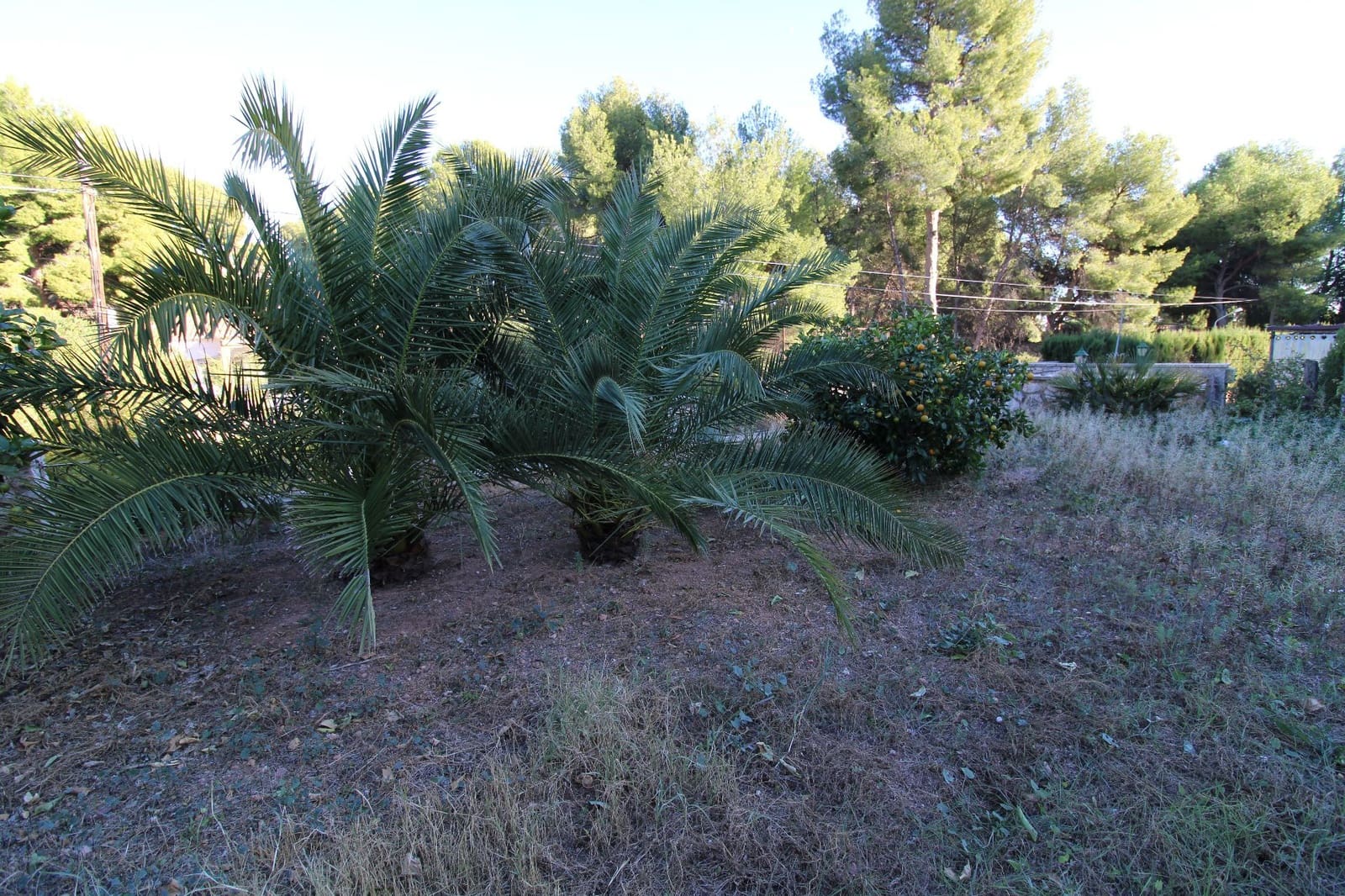 8 soverom Villa til salgs i Naquera med svømmebasseng garasje - € 398 000 (Ref: 8015744)