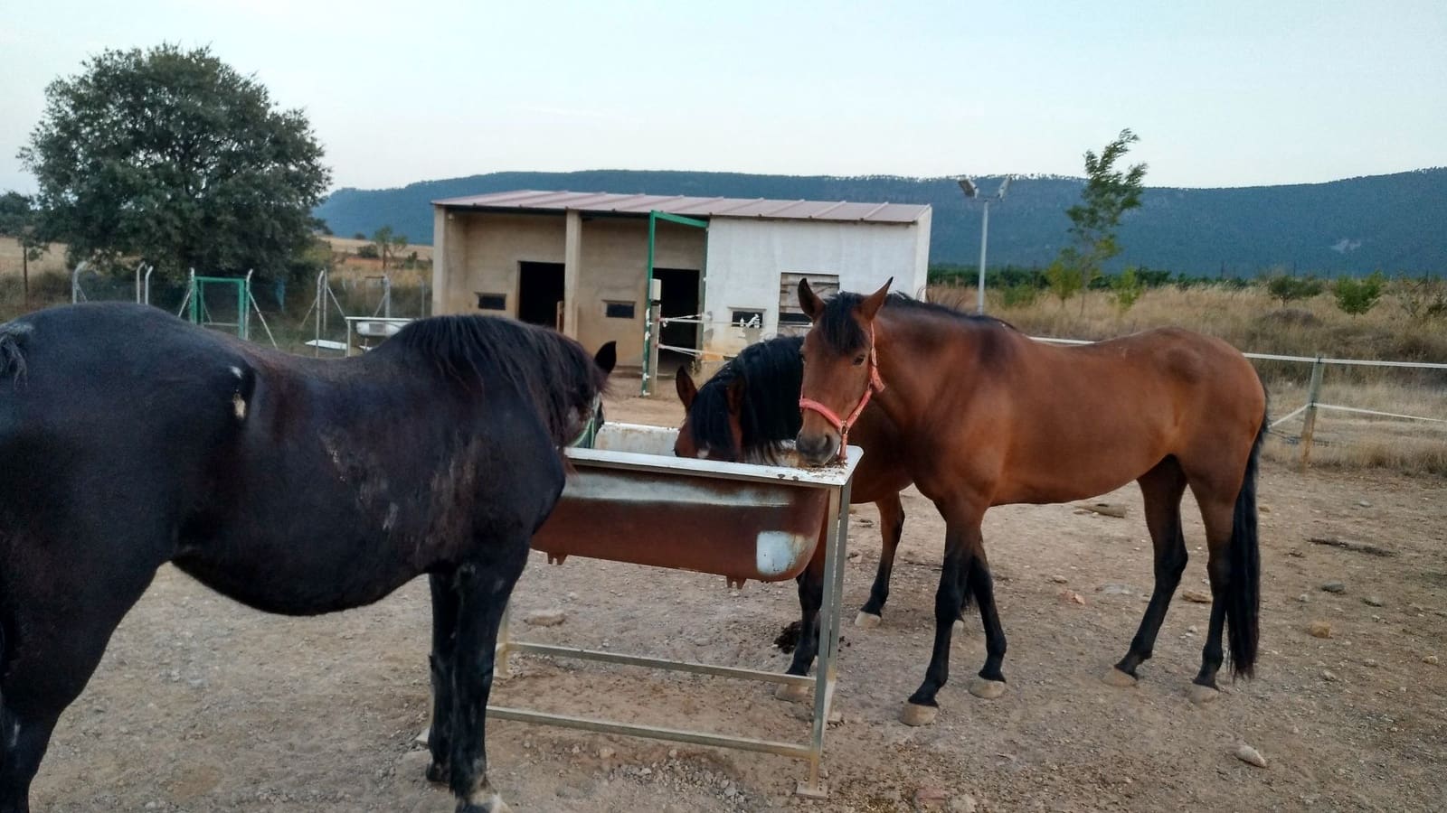 4 soveværelse Finca/Landehus til salg i Talayuelas med garage - € 480.000 (Ref: 8757487)