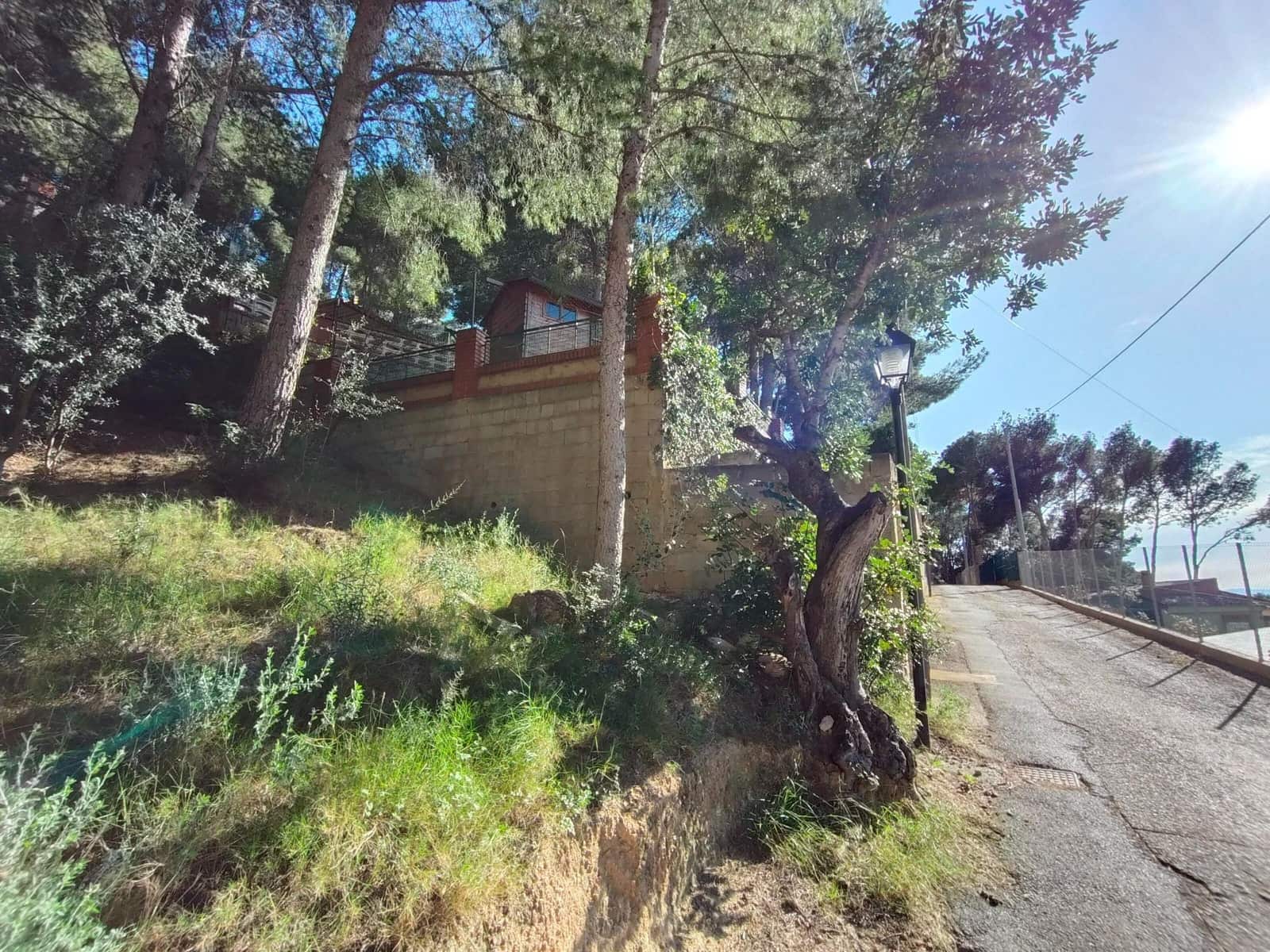 Grunde uden byggetilladelser til salg i Naquera - € 9.900 (Ref: 8988041)