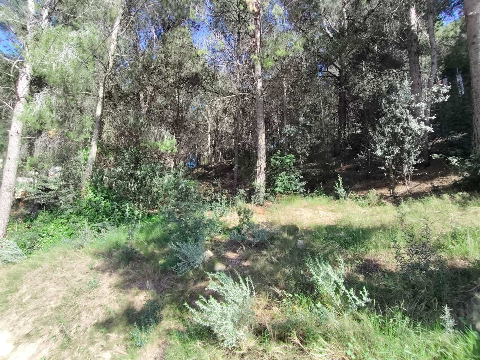 Grunde uden byggetilladelser til salg i Naquera - € 9.900 (Ref: 8988041)