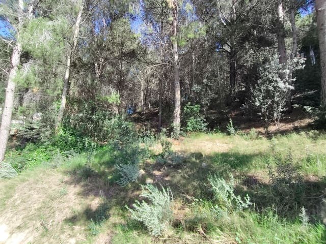 Grunde uden byggetilladelser til salg i Náquera - € 9.900 (Ref: 8988041)