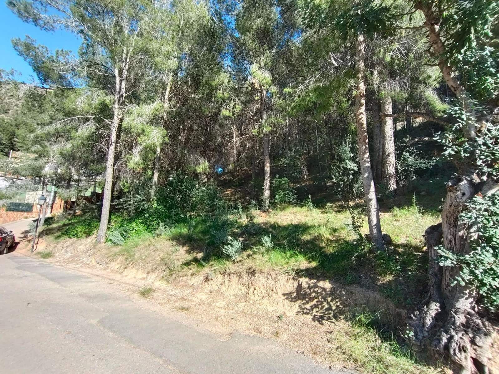 Grunde uden byggetilladelser til salg i Naquera - € 9.900 (Ref: 8988041)