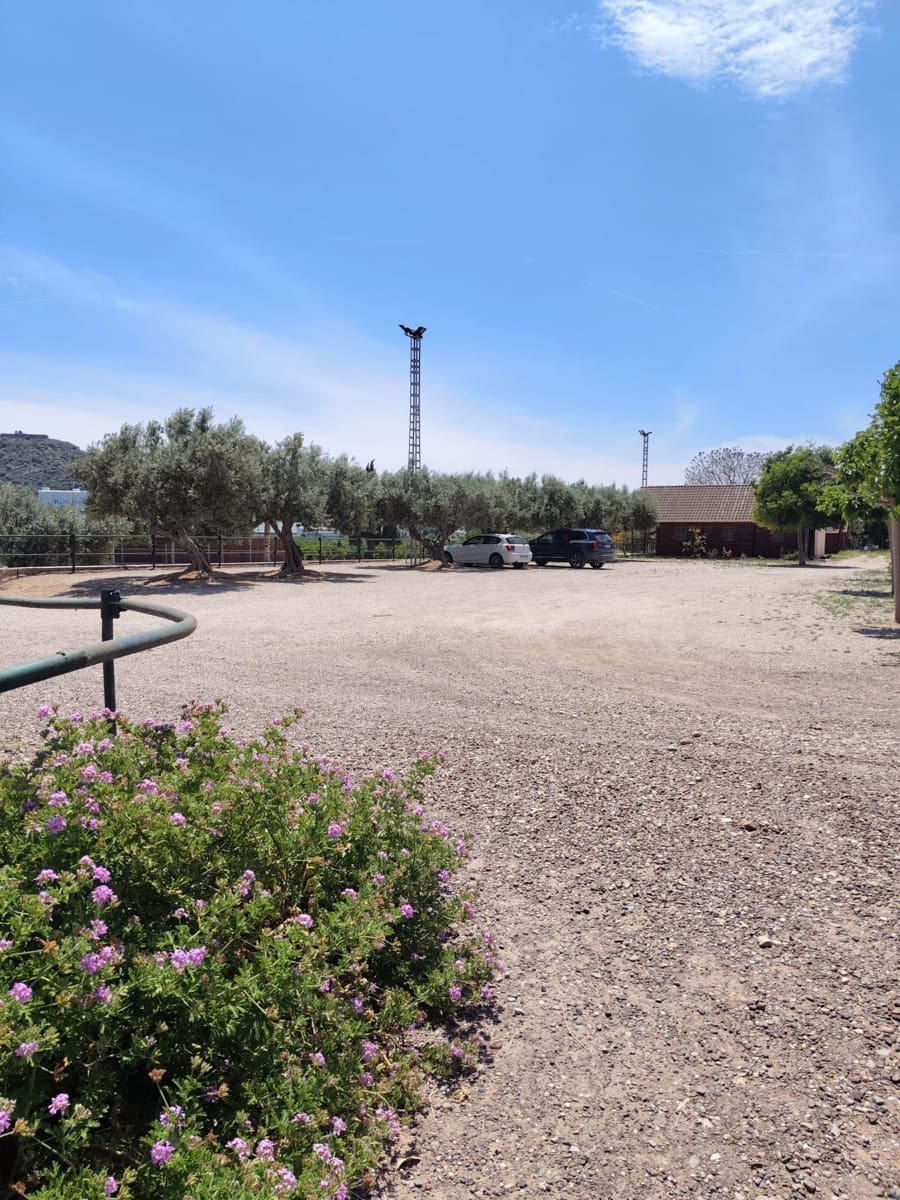 5 soveværelse Villa til salg i Almenara med garage - € 650.000 (Ref: 9022908)