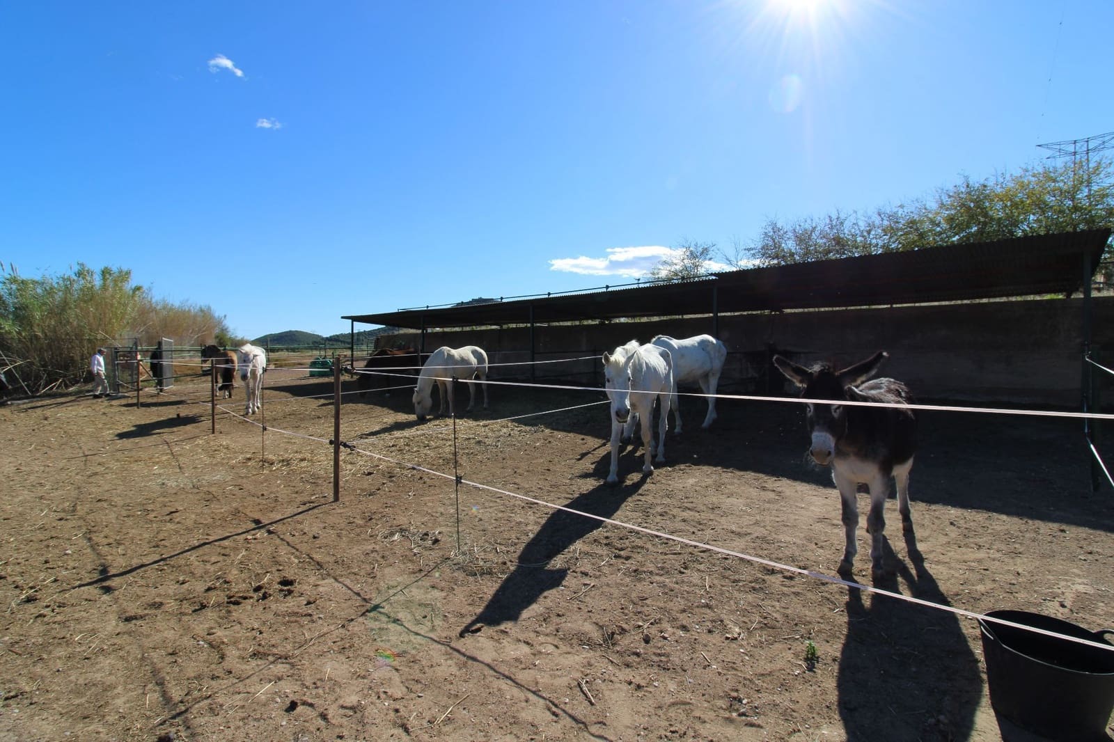 5 soveværelse Villa til salg i Almenara med garage - € 650.000 (Ref: 9022908)