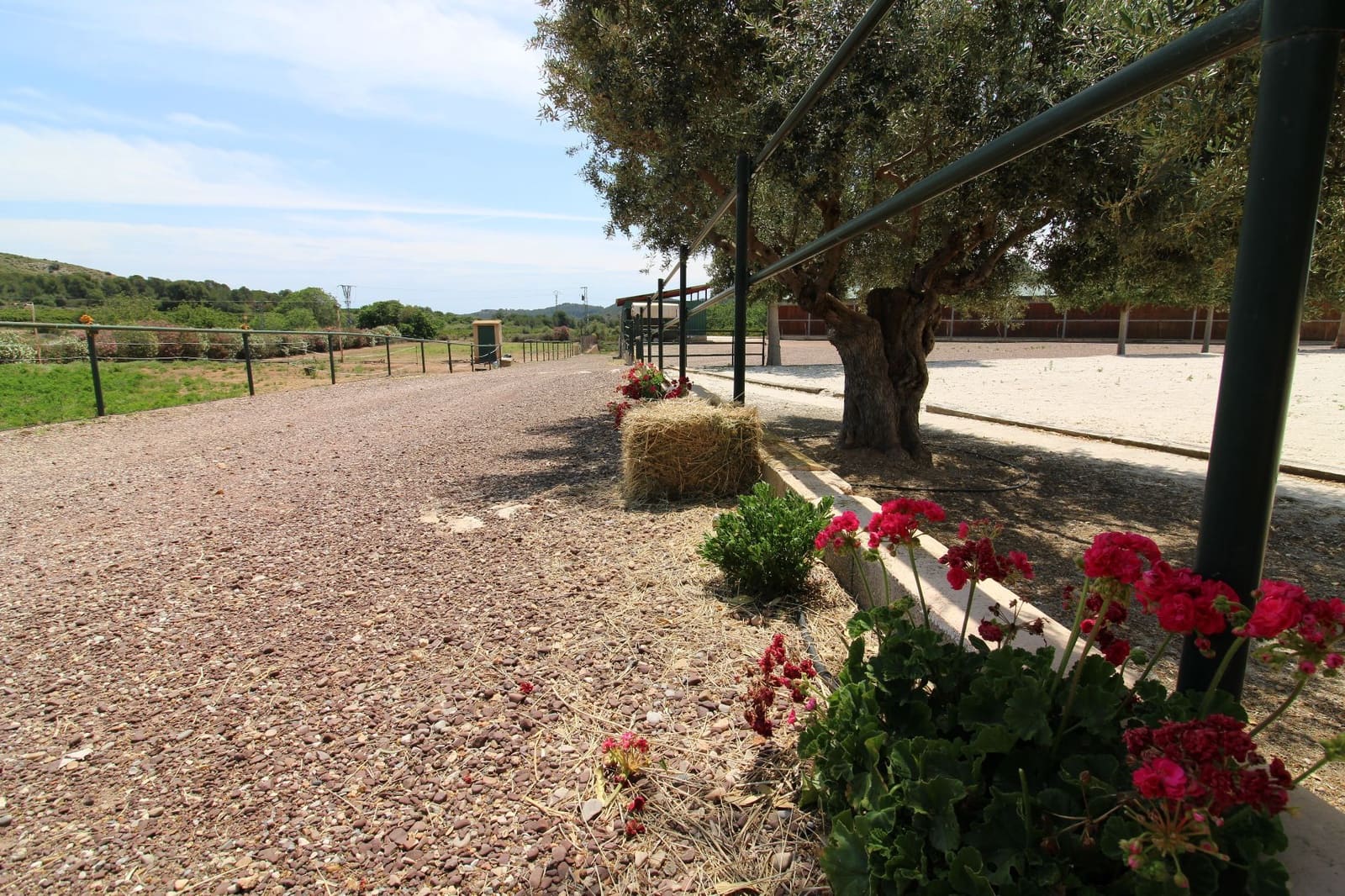 5 soveværelse Villa til salg i Almenara med garage - € 650.000 (Ref: 9022908)