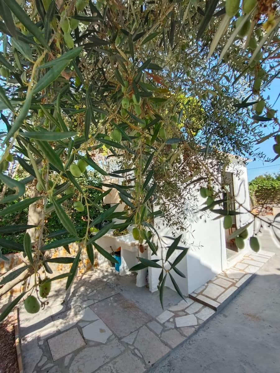 3 soverom Villa til salgs i Naquera med svømmebasseng garasje - € 294 900 (Ref: 9177643)