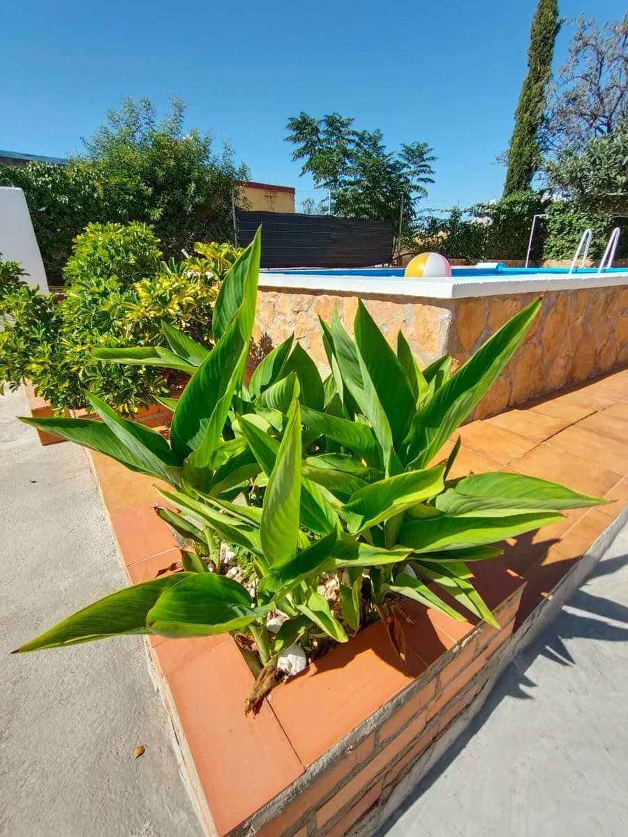 3 soverom Villa til salgs i Naquera med svømmebasseng garasje - € 294 900 (Ref: 9177643)