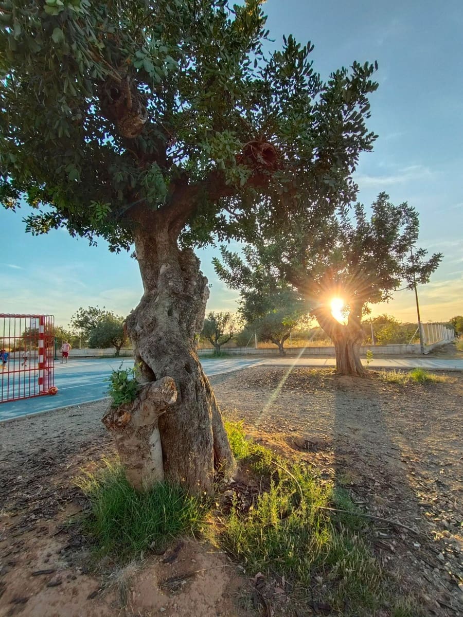 3 soveværelse Semi-Rækkehus til salg i La Pobla de Vallbona med swimmingpool garage - € 328.900 (Ref: 9208074)