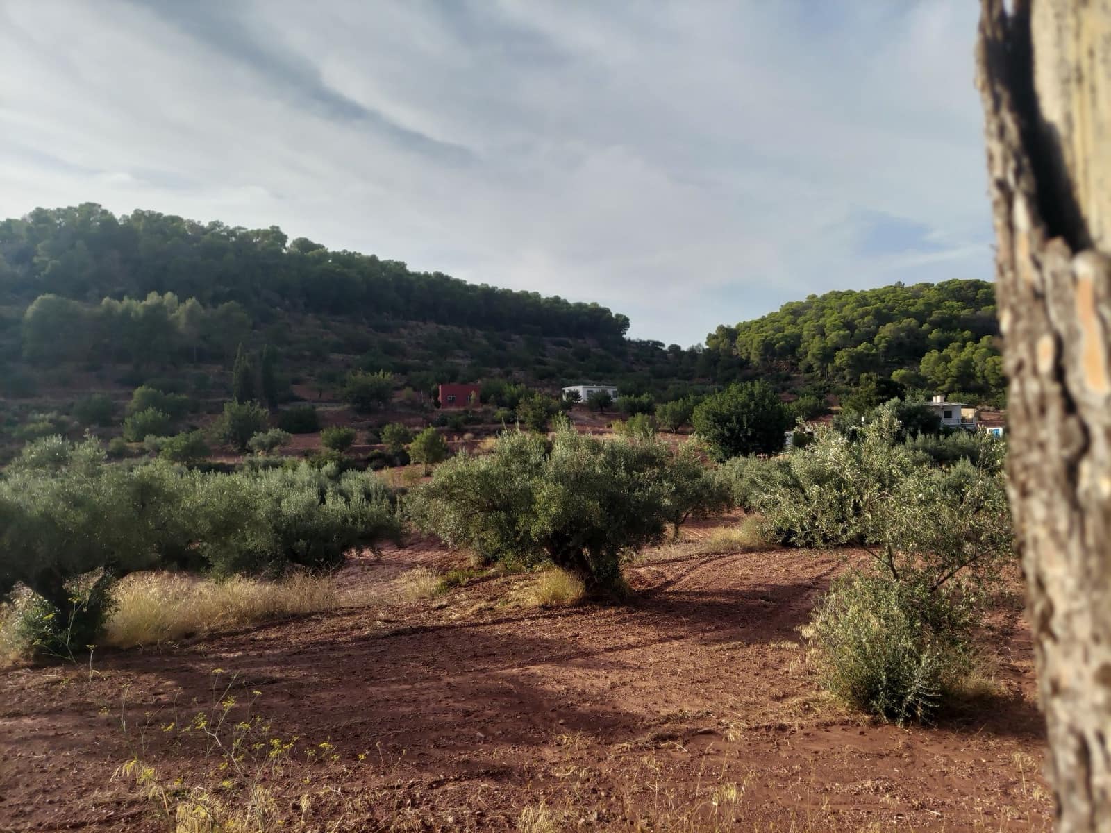 2 slaapkamer Finca/Landhuis te koop in Olocau met zwembad garage - € 150.000 (Ref: 9235989)