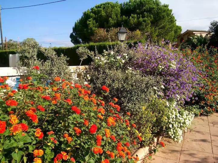 9 bedroom Villa for sale in Serra with pool garage - € 449,000 (Ref: 9433054)