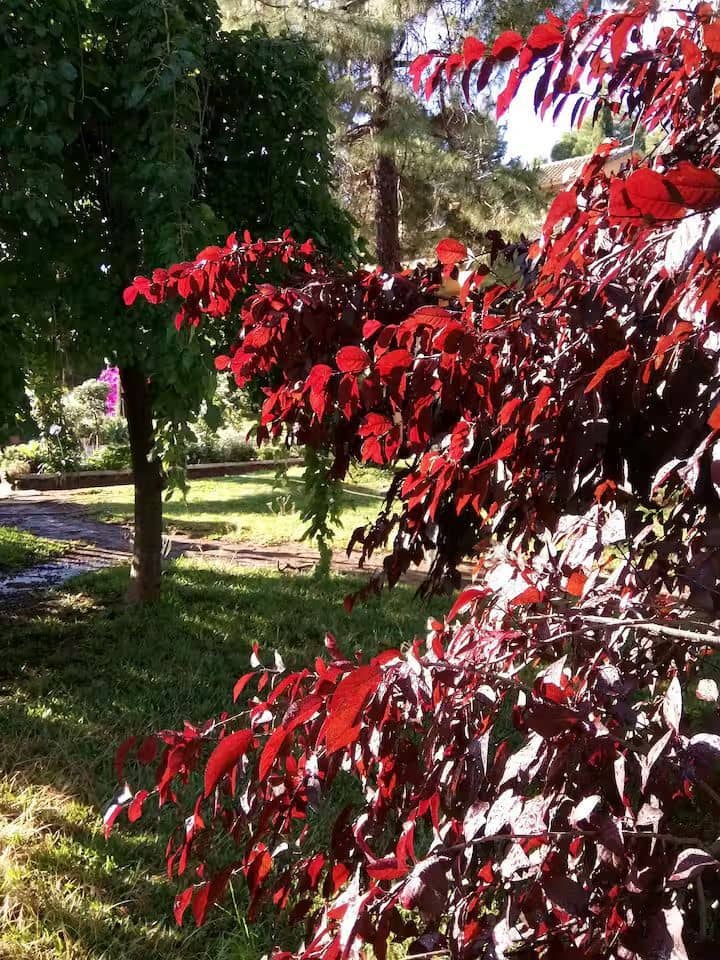 9 bedroom Villa for sale in Serra with pool garage - € 449,000 (Ref: 9433054)