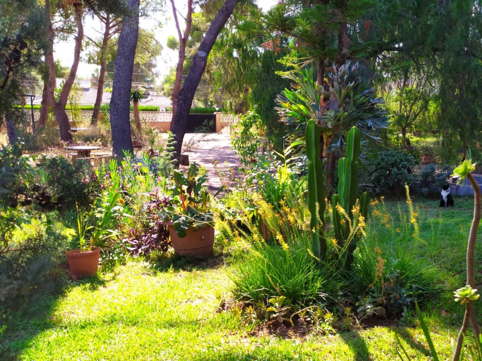 9 bedroom Villa for sale in Serra with pool garage - € 449,000 (Ref: 9433054)