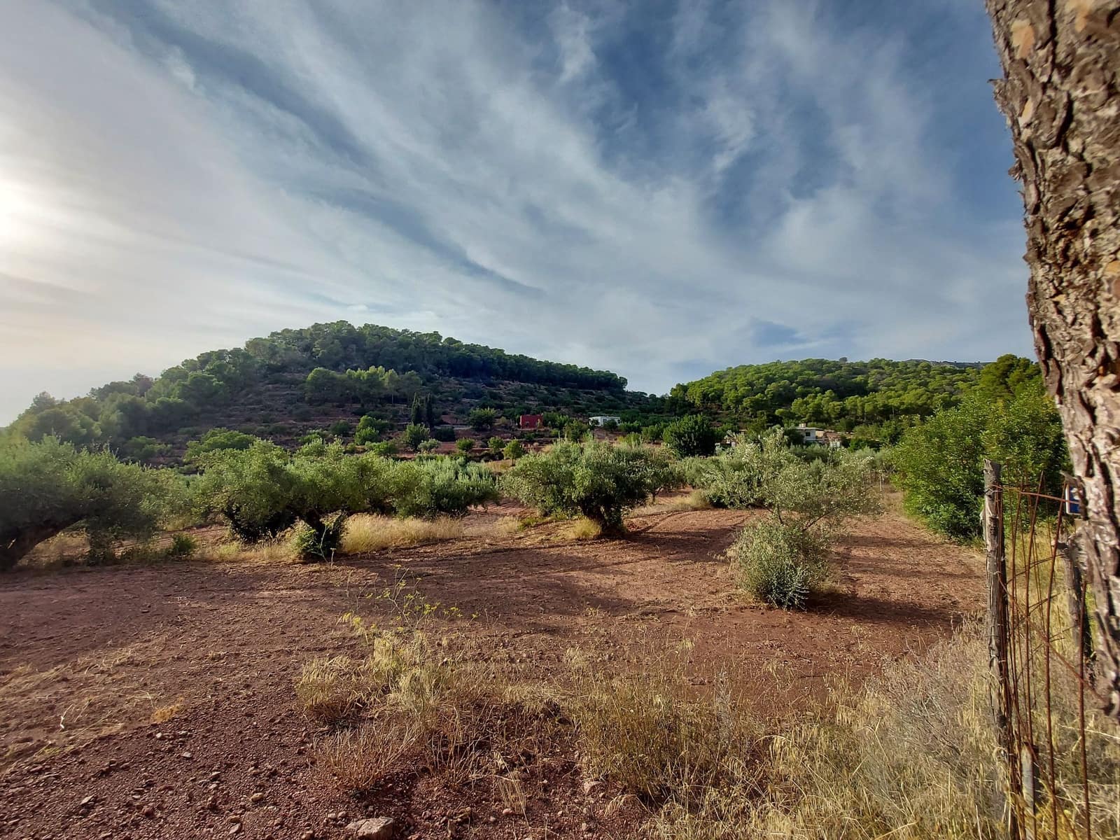 Ubebygd land til salgs i Olocau - € 60 000 (Ref: 9451620)