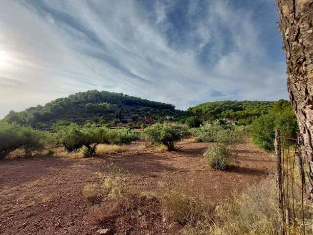 Rakentamaton maa myytävänä paikassa Olocau - 60 000 € (Ref: 9451620)