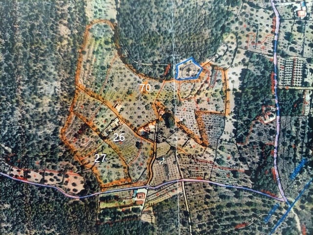 Rakentamaton maa myytävänä paikassa Olocau - 60 000 € (Ref: 9451620)