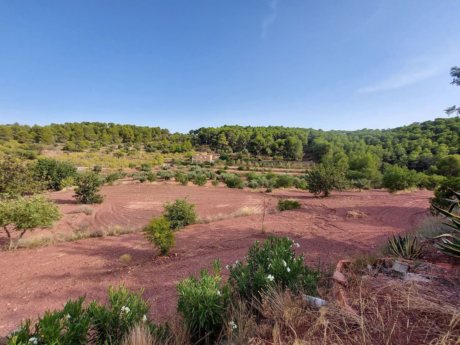 Mark till salu i Olocau - 30 000 € (Ref: 9451621)