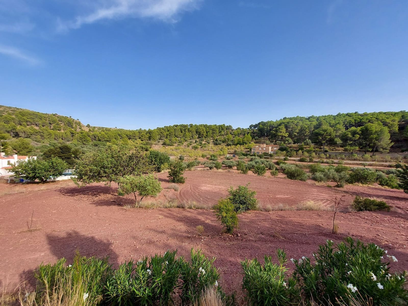 Mark till salu i Olocau - 30 000 € (Ref: 9451621)