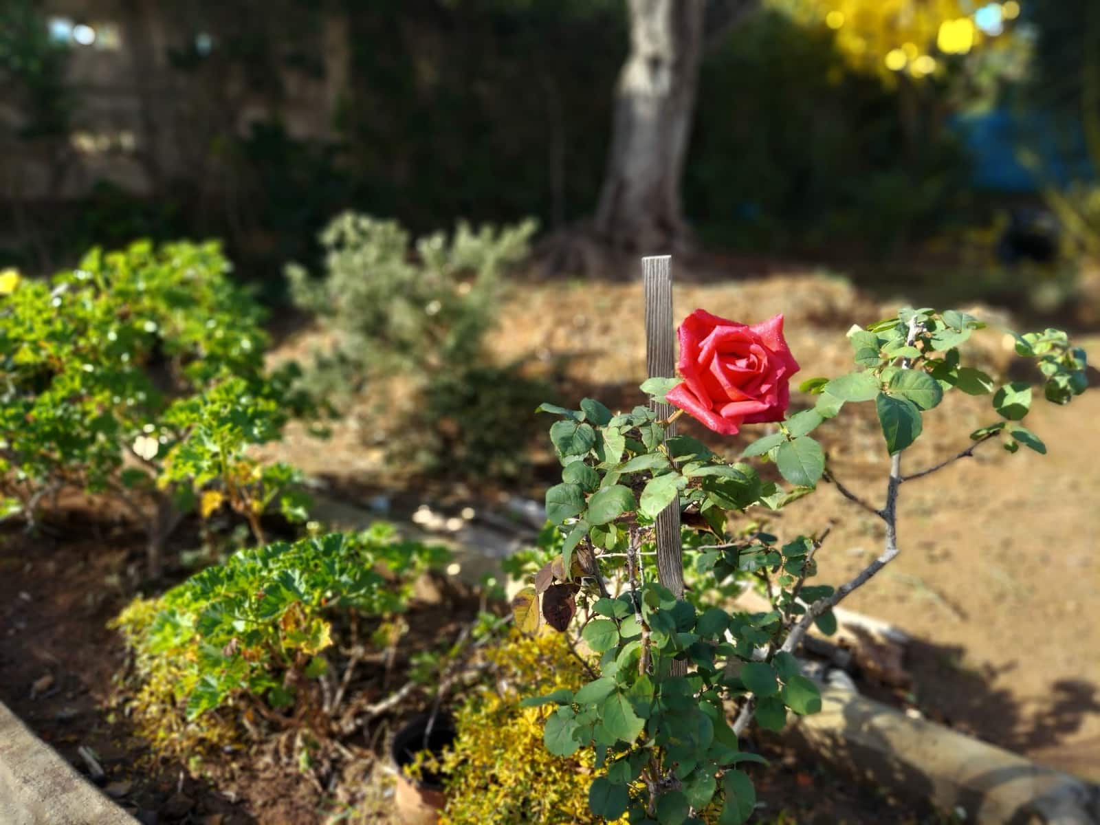 5 bedroom Villa for sale in Olocau with pool garage - € 450,000 (Ref: 9478548)