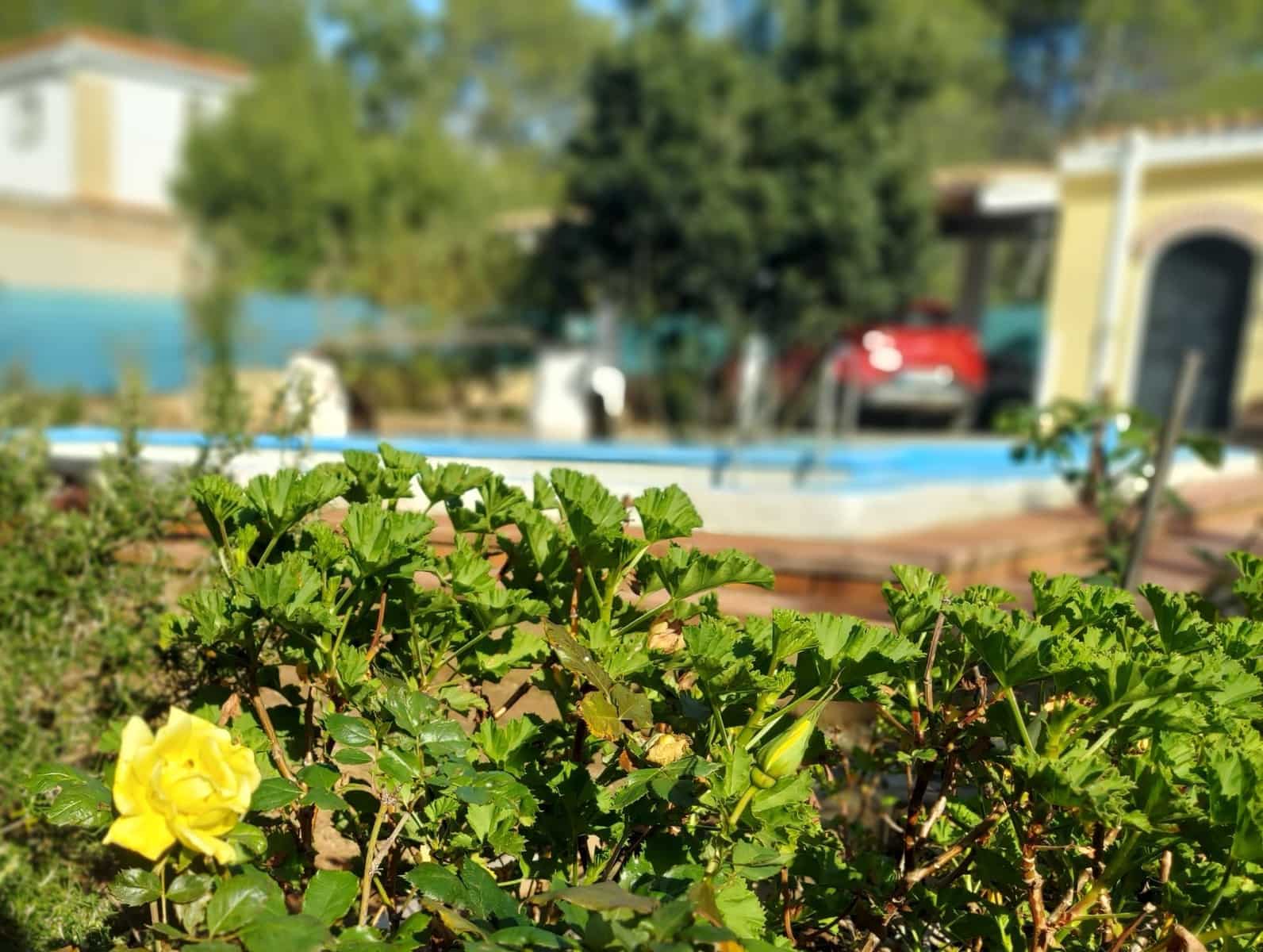 5 bedroom Villa for sale in Olocau with pool garage - € 450,000 (Ref: 9478548)