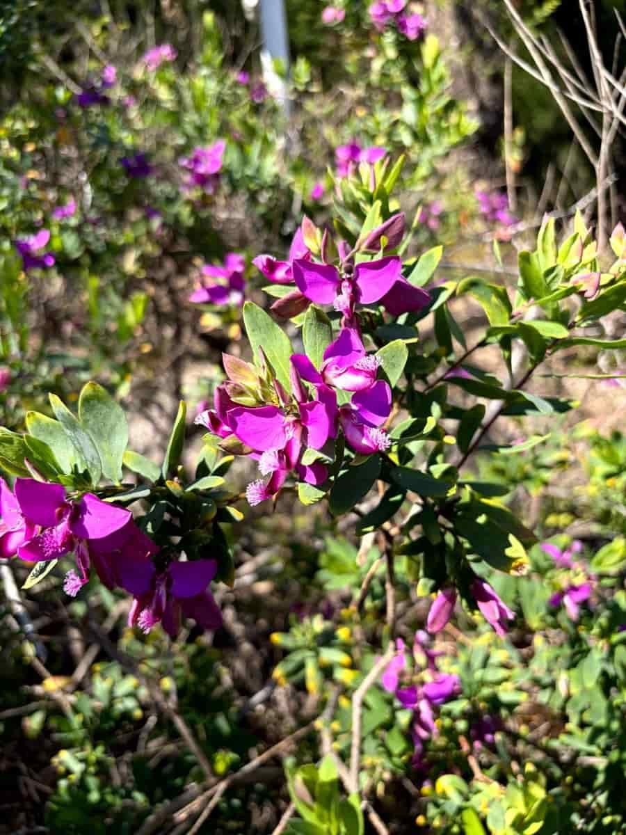 3 bedroom Villa for sale in Pedralba with pool garage - € 210,000 (Ref: 9711075)