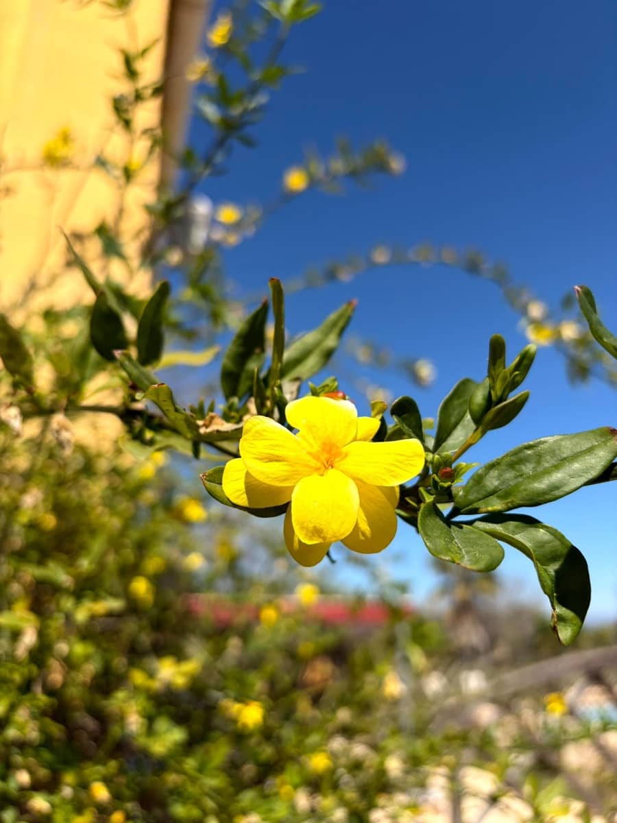 3 bedroom Villa for sale in Pedralba with pool garage - € 210,000 (Ref: 9711075)