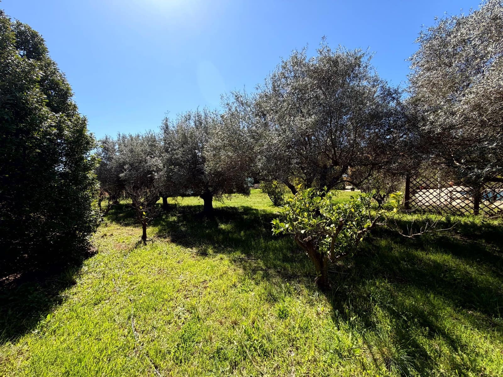 3 bedroom Villa for sale in Pedralba with pool garage - € 210,000 (Ref: 9711075)