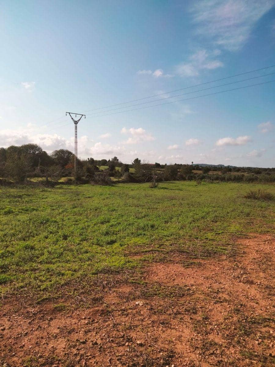 Terreno/Finca Rústica en Llubí en venta - 18.500 € (Ref: 10037466)