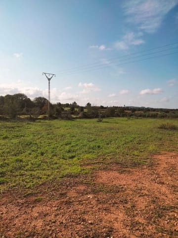 Terreno/Finca Rústica en Llubí en venta - 18.500 € (Ref: 10037466)
