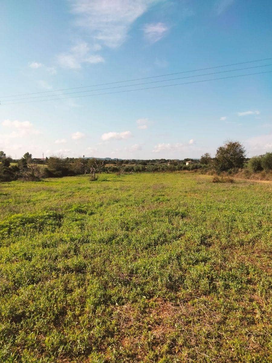 Terreno/Finca Rústica en Llubí en venta - 18.500 € (Ref: 10037466)