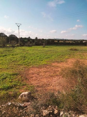 Terreno/Finca Rústica en Llubí en venta - 18.500 € (Ref: 10037466)