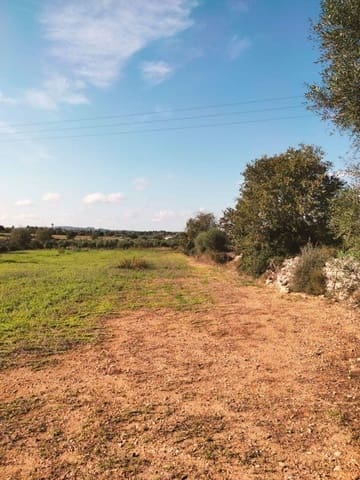 Terreno/Finca Rústica en Llubí en venta - 18.500 € (Ref: 10037466)