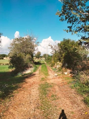 Terreno/Finca Rústica en Llubí en venta - 18.500 € (Ref: 10037466)