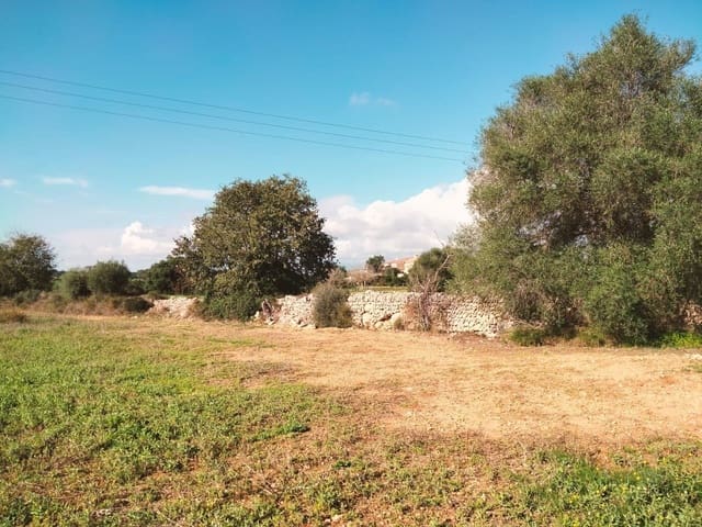 Terreno/Finca Rústica en Llubí en venta - 18.500 € (Ref: 10037466)