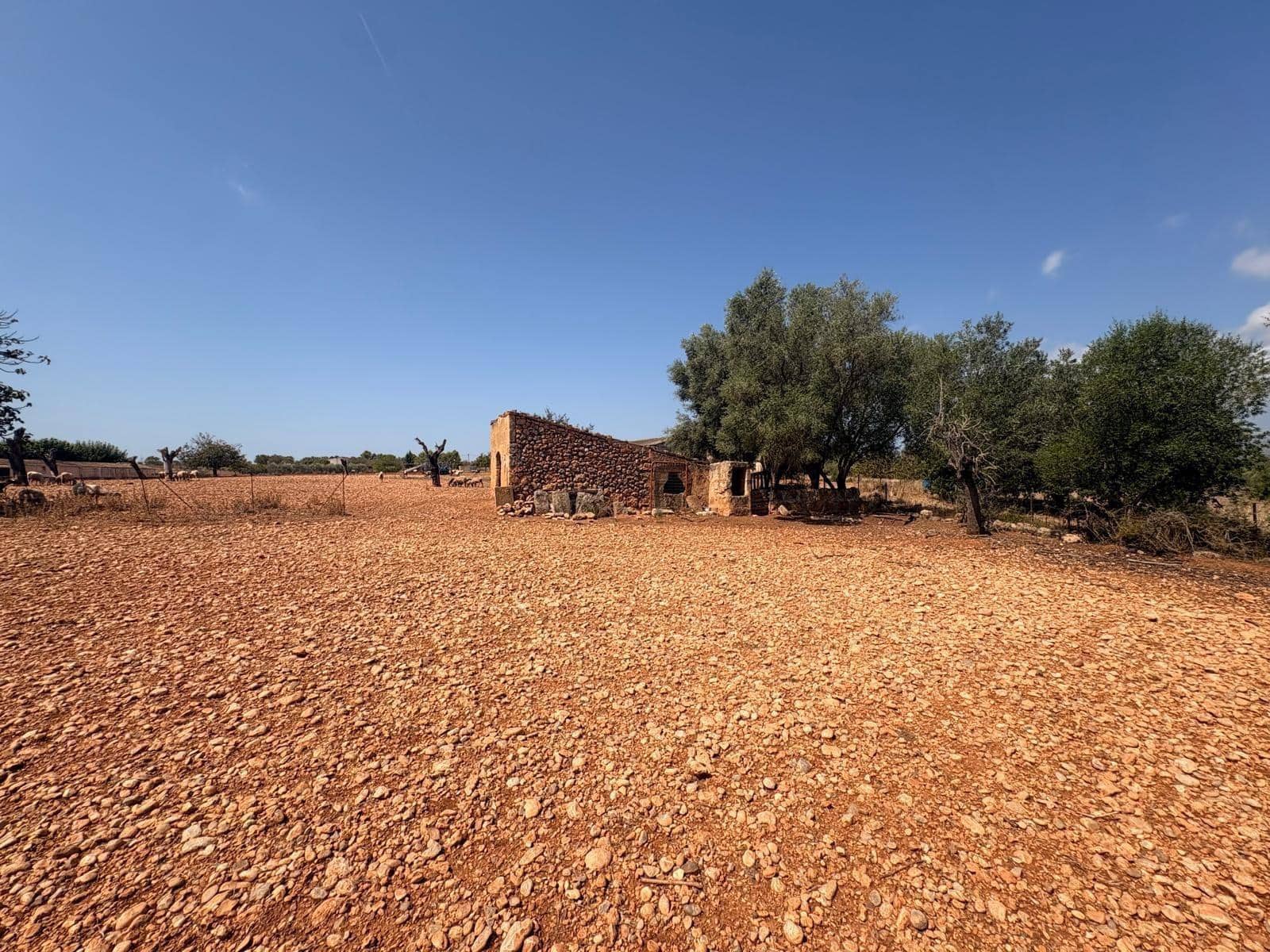 Tomt till salu i Sencelles - 129 000 € (Ref: 10094694)