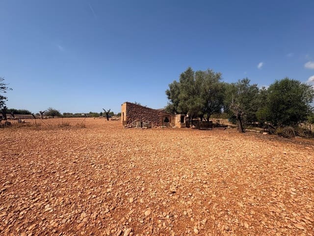 Tomt till salu i Sencelles - 129 000 € (Ref: 10094694)