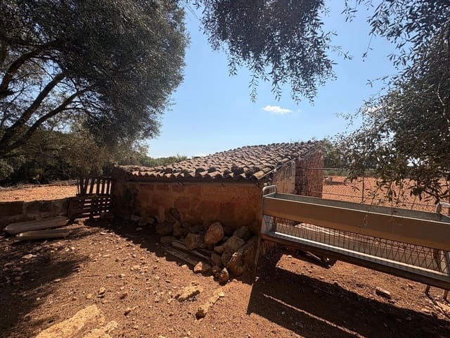 Tomt till salu i Sencelles - 129 000 € (Ref: 10094694)