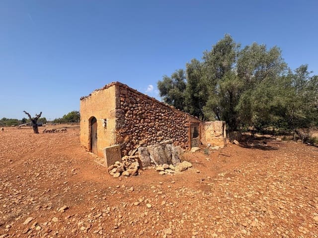 Tomt till salu i Sencelles - 129 000 € (Ref: 10094694)