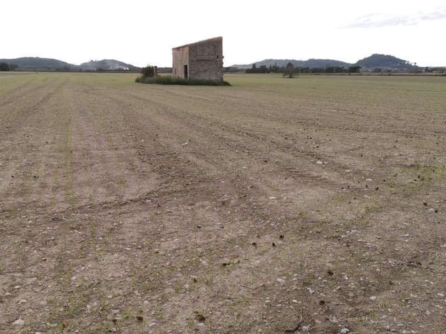 Building Plot for sale in Sineu - € 320,000 (Ref: 7638336)