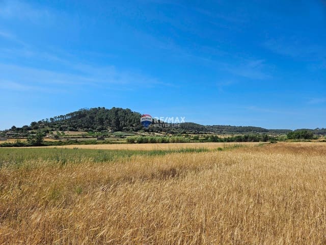 Building Plot for sale in Sineu - € 180,000 (Ref: 8338339)