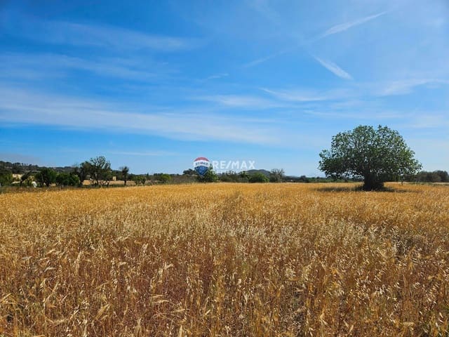 Building Plot for sale in Sineu - € 180,000 (Ref: 8338339)