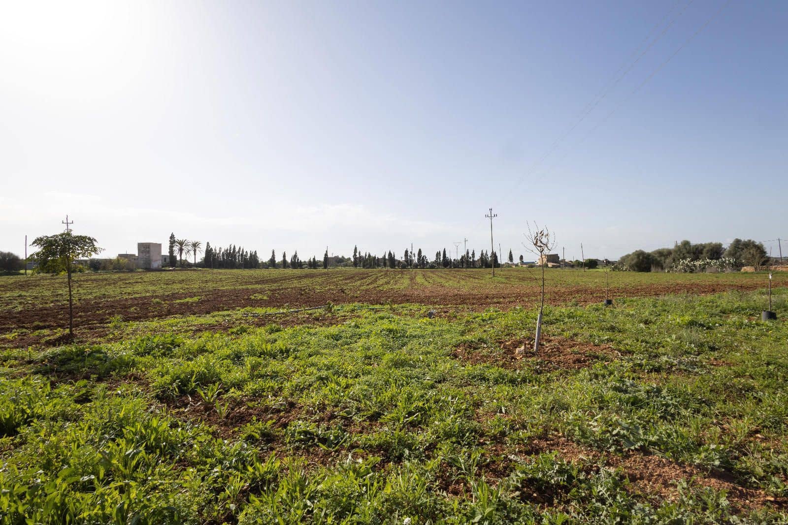 4 sypialnia Willa na sprzedaż w Campos z basenem garażem - 2 250 000 € (Ref: 9353590)