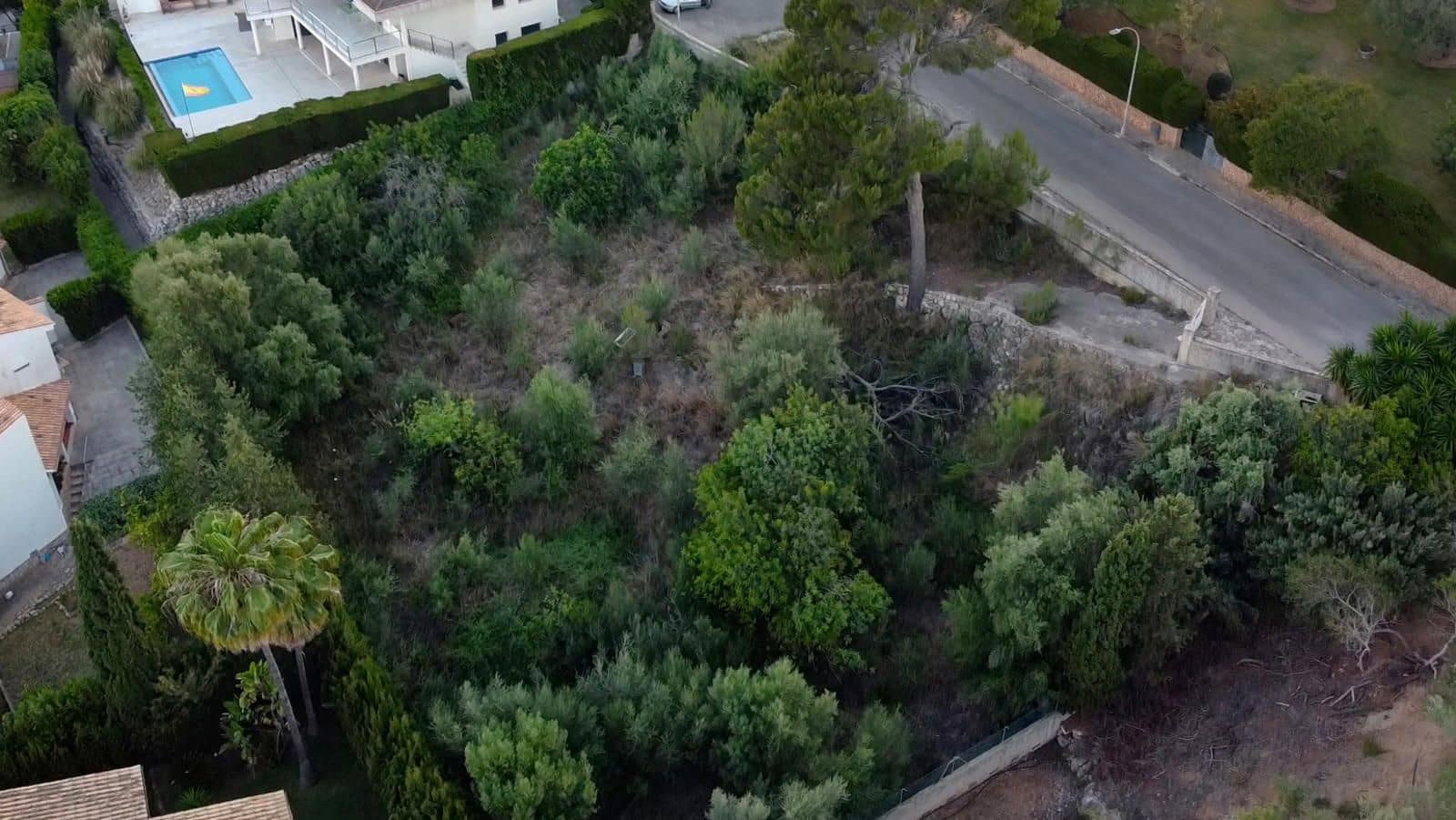 Tontti myytävänä paikassa Inca - 380 000 € (Ref: 9359552)