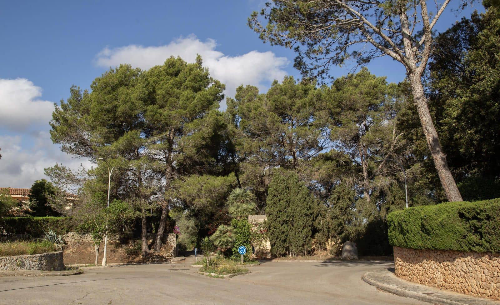 Tontti myytävänä paikassa Inca - 380 000 € (Ref: 9359552)