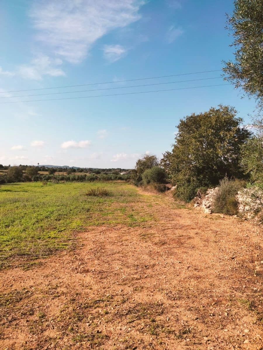 Byggetomt til salgs i Llubi - € 17 500 (Ref: 9359553)