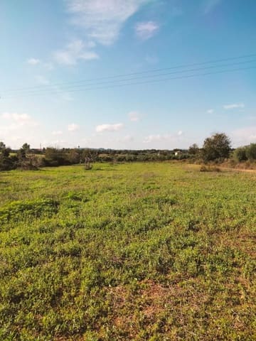 Building Plot for sale in Llubí - € 17,500 (Ref: 9359553)