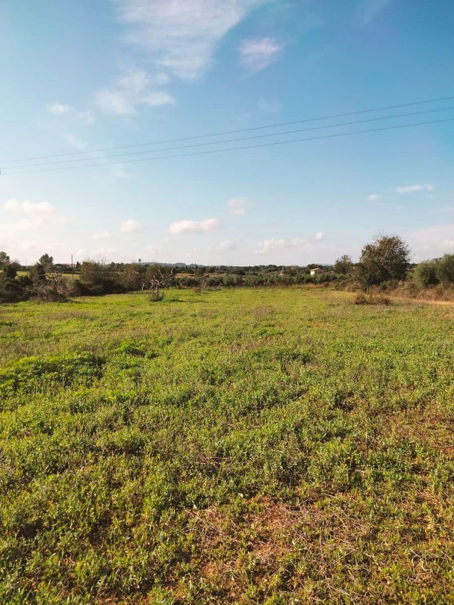 Ubebygd land til salgs i Llubi - € 17 500 (Ref: 9359553)