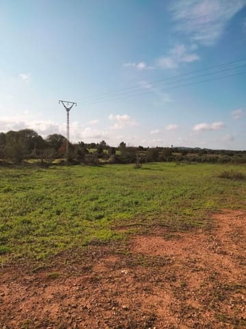 Undeveloped Land for sale in Llubí - € 17,499 (Ref: 9359553)
