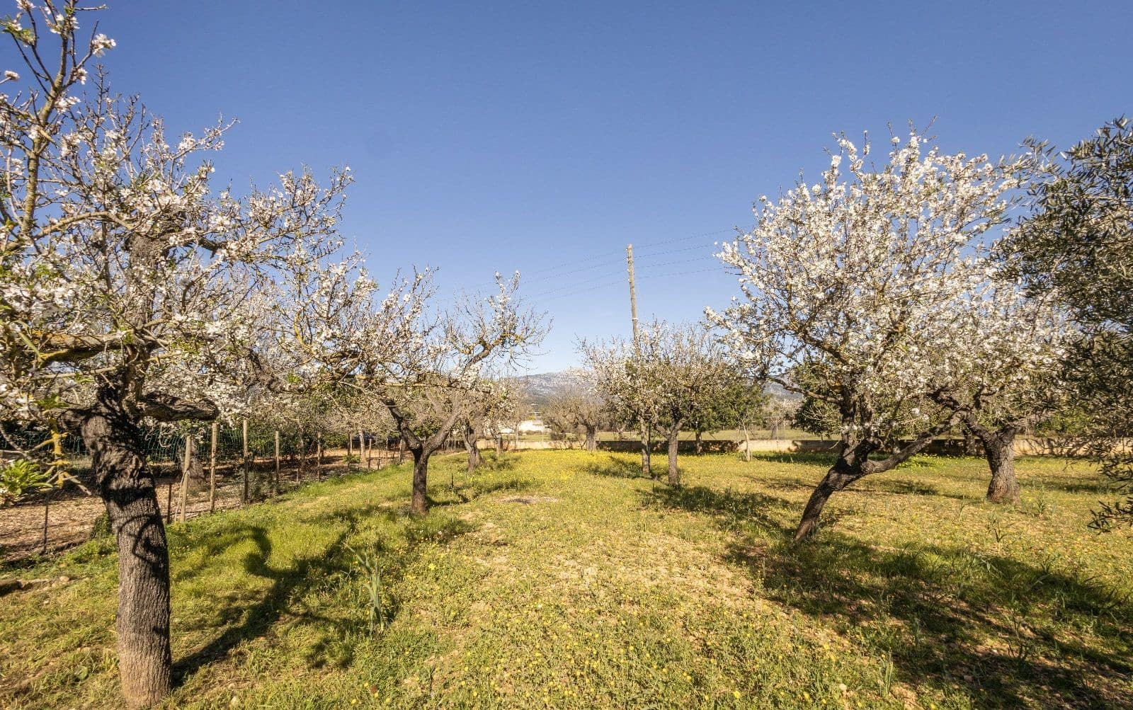 4 soverom Villa til salgs i Inca med garasje - € 875 000 (Ref: 9359556)