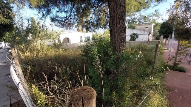 Building Plot for sale in Puerto de Alcudia, Alcúdia - € 190,000 (Ref: 9359557)