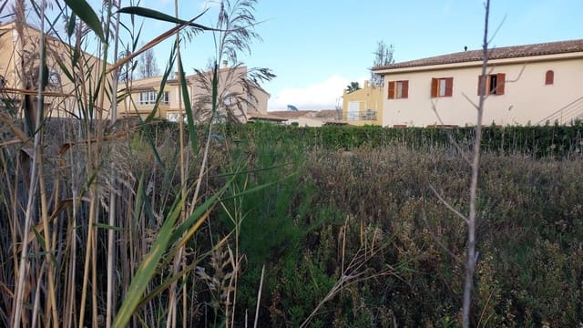 Area Edificabile in vendita in Puerto de Alcudia, Alcúdia - 457.000 € (Rif: 9359558)